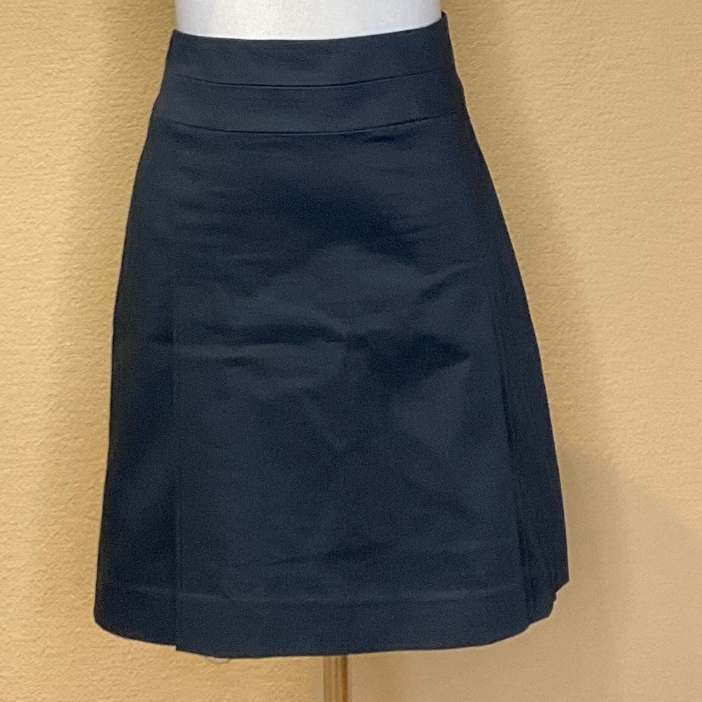 Banana Republic Skirt